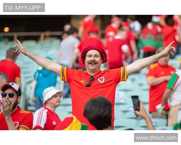 威尔士1-1战平瑞士，淘汰悬念挥之不去