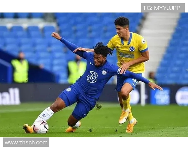 萨利巴：从新星崛起到球队核心的成长之路与未来展望