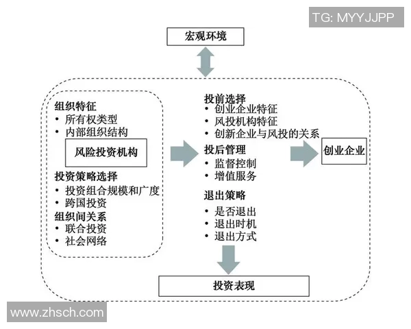 深入探讨凯利方差在投资决策中的应用与风险管理策略分析
