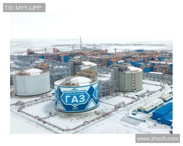 亚马尔地区资源开发与国际合作新机遇探讨